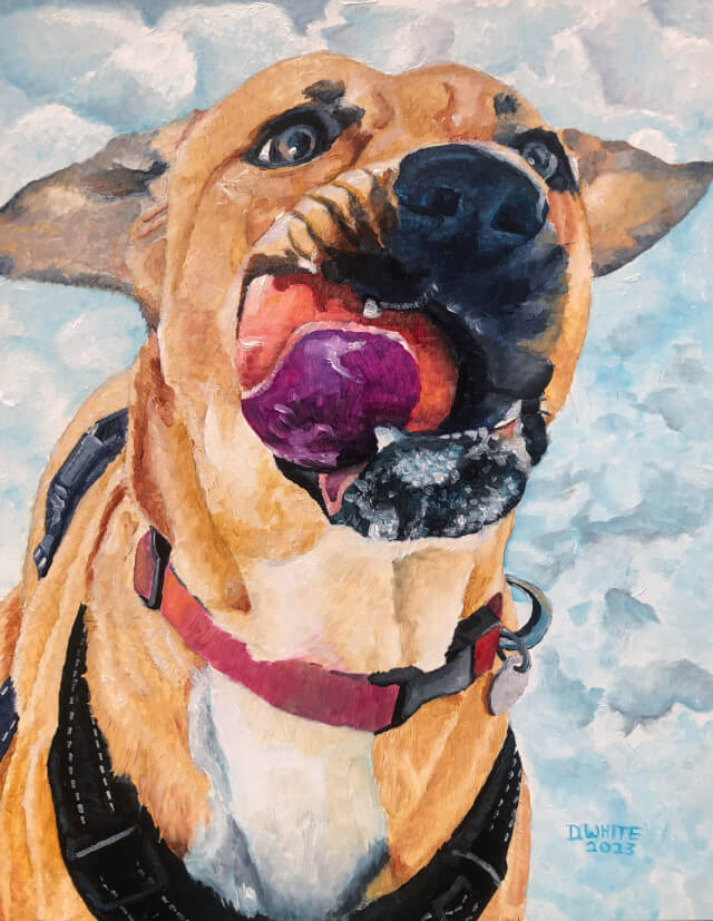 Pet portrait of a dog with his ball in the snow by Dominic A White